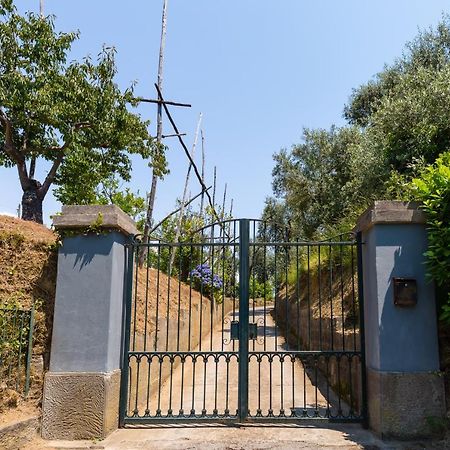 Villa Ada Sorrento Kültér fotó
