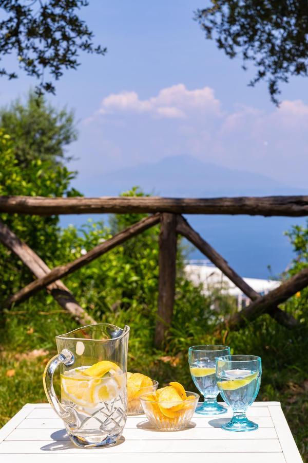 Villa Ada Sorrento Kültér fotó