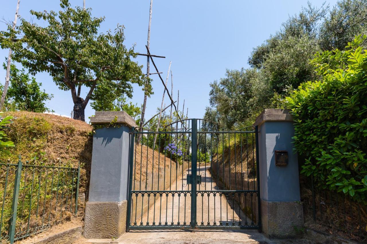 Villa Ada Sorrento Kültér fotó